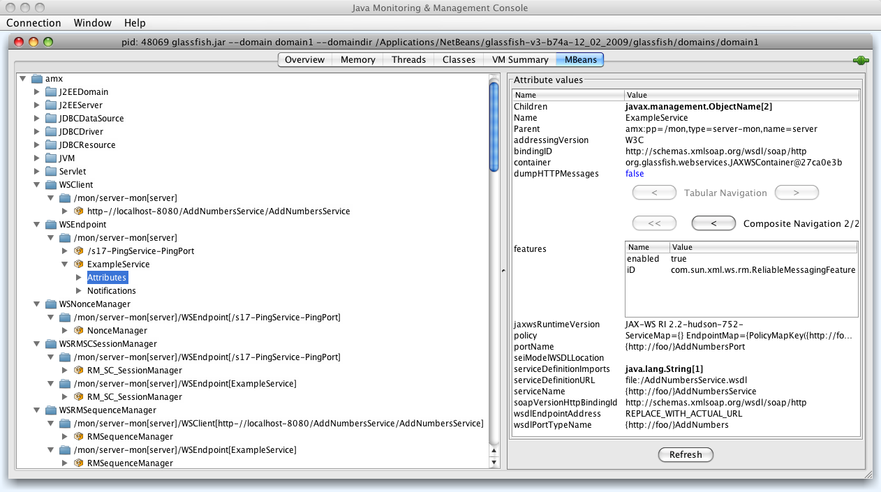 Monitoring - One client and two services running inside the same instance of GlassFish